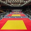Mata do sportów walki tatami inSPORTline Taishan 200x100x5 cm ∙ antypoślizgowa  ∙ redukcja wibracji ∙ waga 26 kg ∙ skórzana